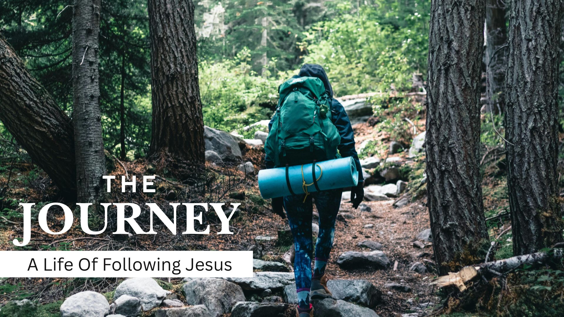 Wholehearted Worship